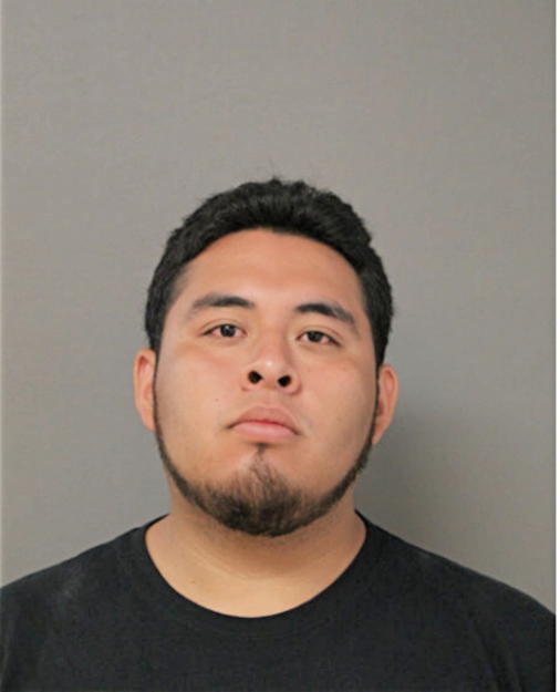 SAUL JUNIOR NAVA-ROMAN, Cook County, Illinois
