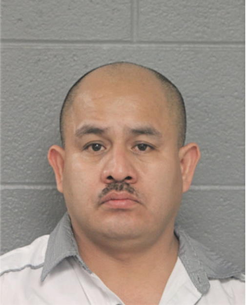 SALVADOR NERI, Cook County, Illinois