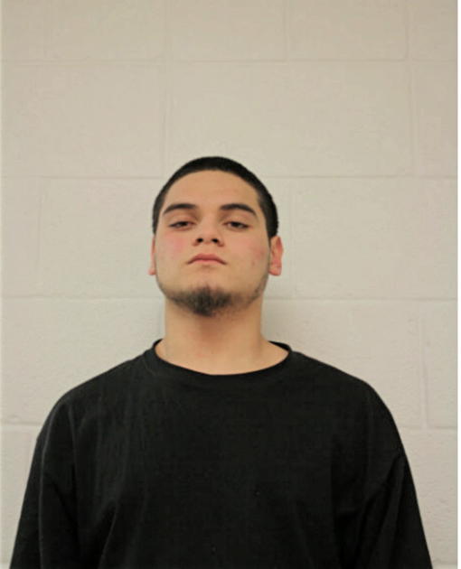 VINCENT F PAOPAO, Cook County, Illinois