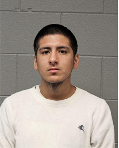 JOHN DAVID PERALTA, Cook County, Illinois