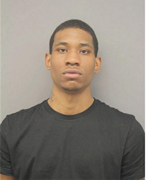 VIRGIL S PETERSON, Cook County, Illinois