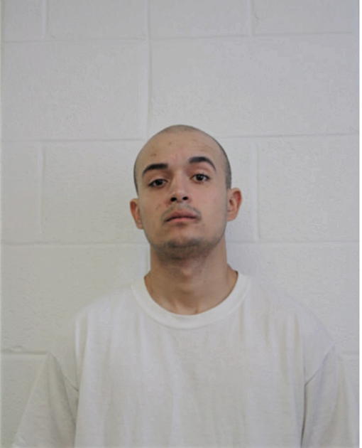LUIS M RODRIGUEZ, Cook County, Illinois