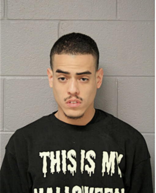 ALEX H ROMAN, Cook County, Illinois