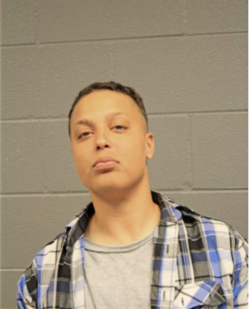 ANITA A SIMS, Cook County, Illinois