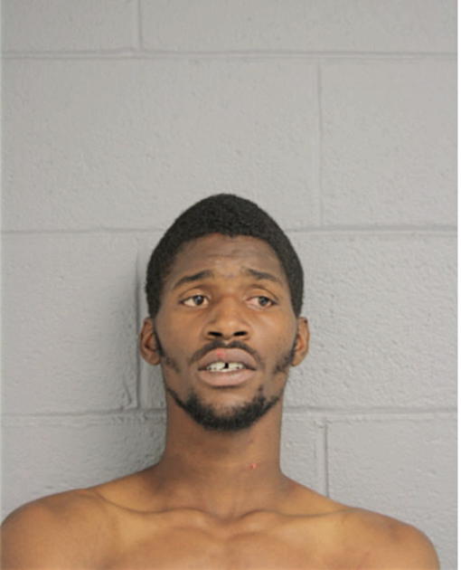 CHRISTOPHER L WILLIAMS, Cook County, Illinois