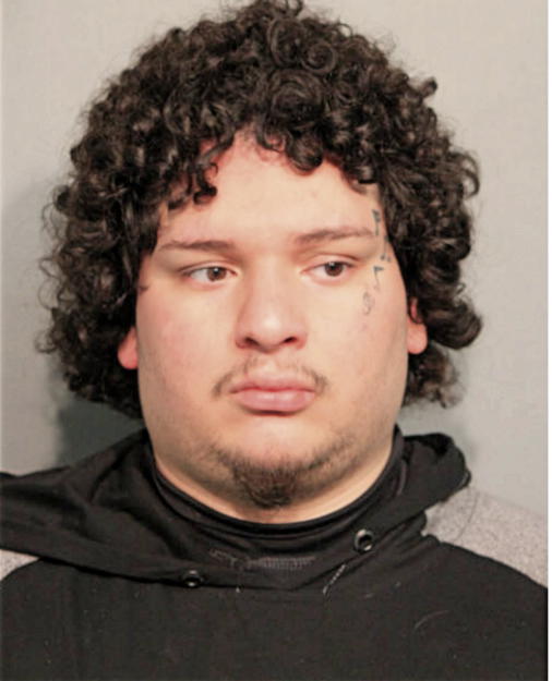 MICHAEL JULIO ALBUJA, Cook County, Illinois