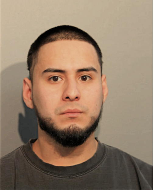 ALEJANDRO ALVARADO, Cook County, Illinois