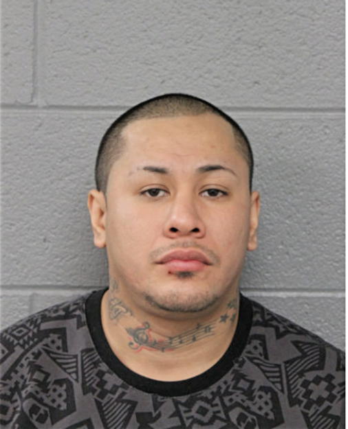 RAUL ALVARADO, Cook County, Illinois