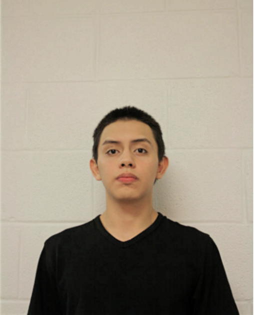 DIEGO R AYALA, Cook County, Illinois