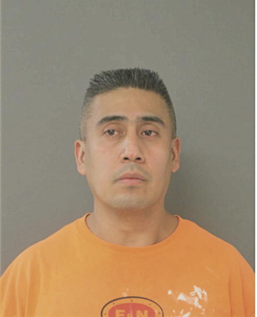 SAUL B AYALA, Cook County, Illinois