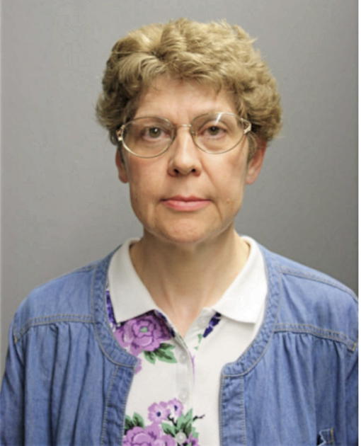 LISA R BANFORD, Cook County, Illinois