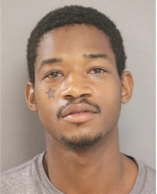 DAMIEN E BEAL, Cook County, Illinois