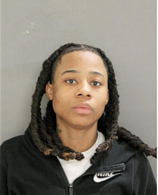 DIONNA S BOYKIN, Cook County, Illinois