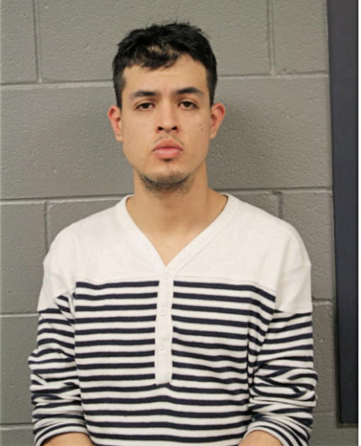 CHRISTIAN E CASTRO, Cook County, Illinois