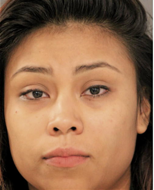 ELIZABETH DIAZ, Cook County, Illinois