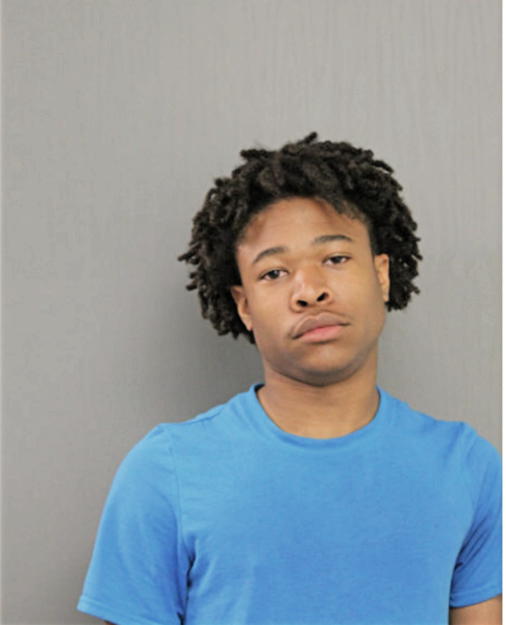 JON S DIXON, Cook County, Illinois