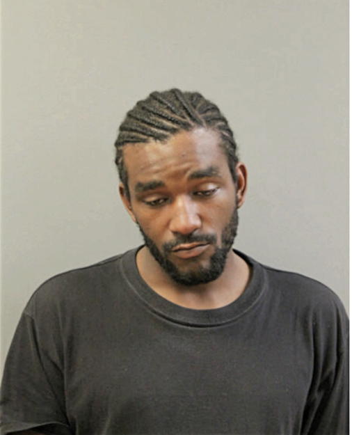 DARRYL J FREEMAN, Cook County, Illinois