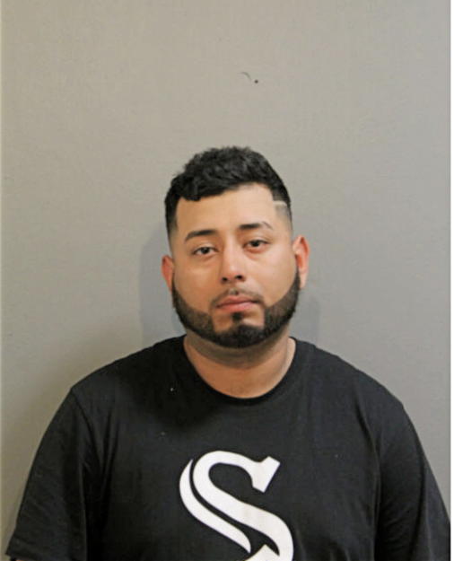 ALEJANDRO GALLEGOS, Cook County, Illinois