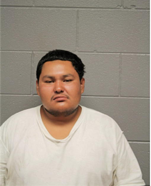 DAVID HERNANDEZ, Cook County, Illinois
