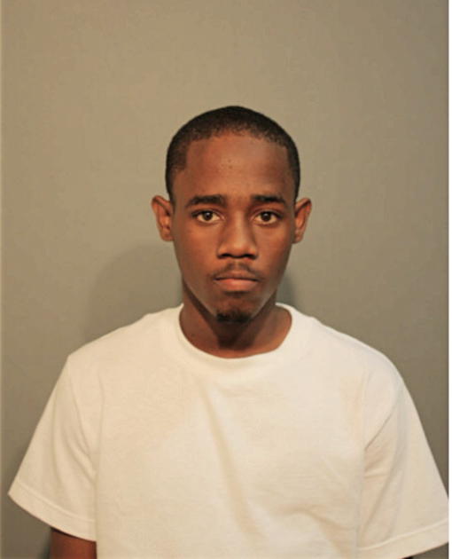 JOHNNY L JONES, Cook County, Illinois
