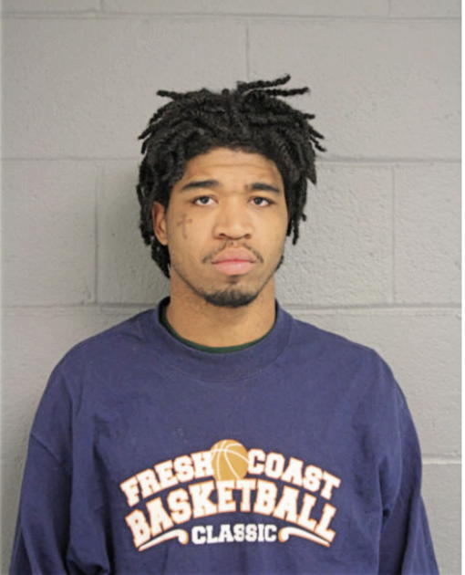 TYRON L LEE, Cook County, Illinois