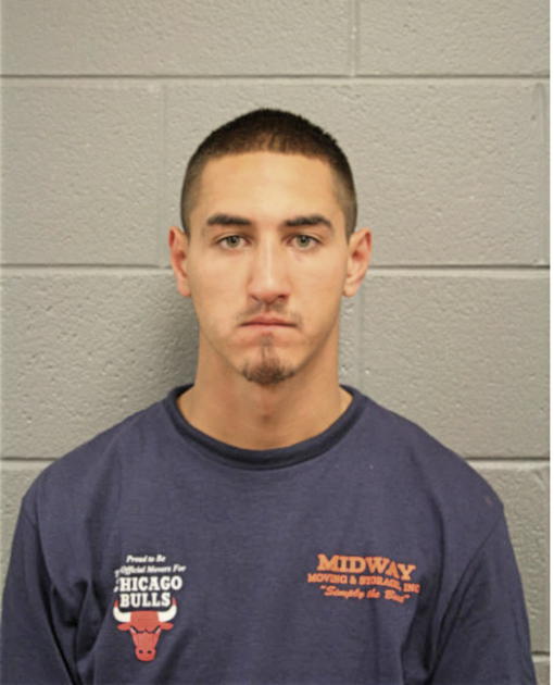 JUSTIN H LESNIEWICZ, Cook County, Illinois