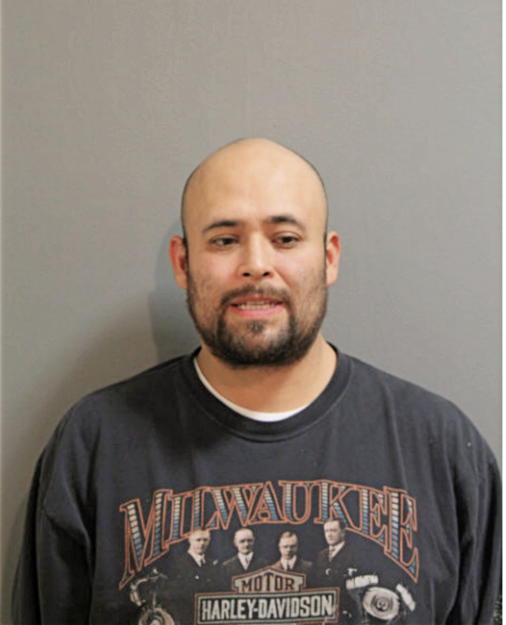 PEDRO LOERA, Cook County, Illinois