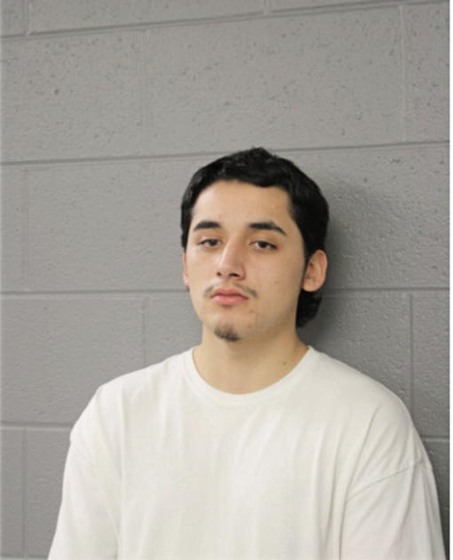 BENNY LOPEZ, Cook County, Illinois