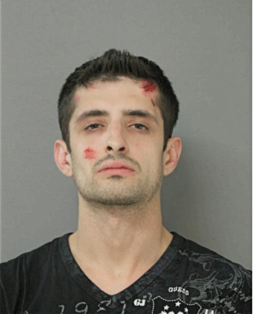 SERGIU E MURESAN, Cook County, Illinois