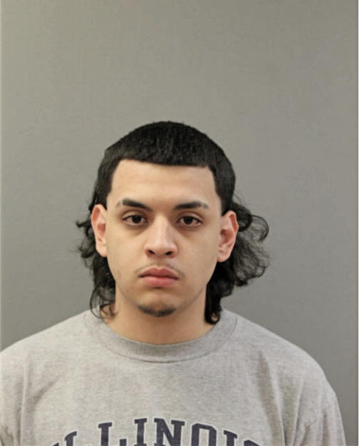 VICTOR M ORTIZ, Cook County, Illinois