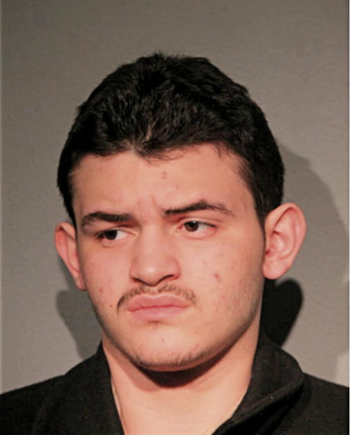JUAN C RAMOS, Cook County, Illinois