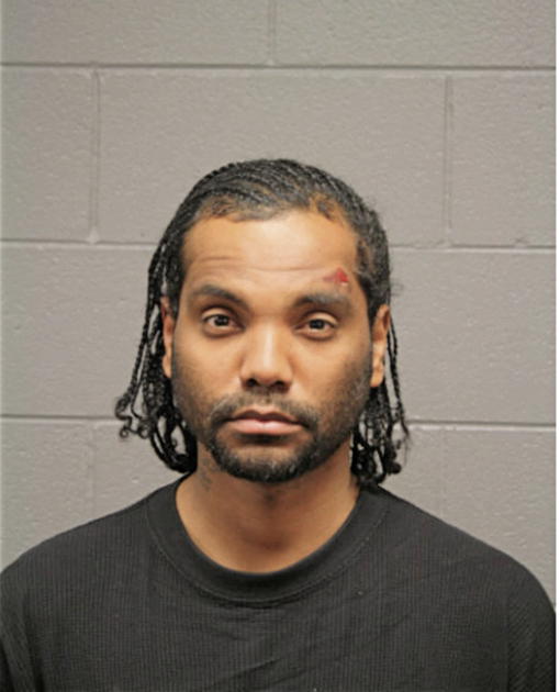 RAMON P ROCHE, Cook County, Illinois