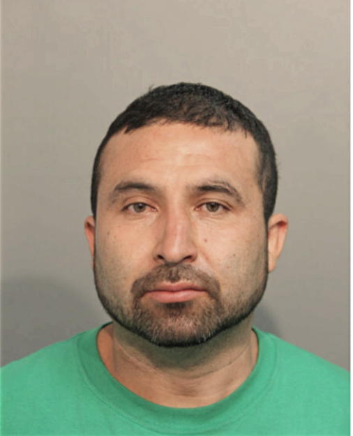 IGNACIO ROMAN, Cook County, Illinois