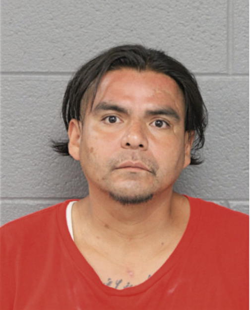 ESTEBAN SALGADO, Cook County, Illinois