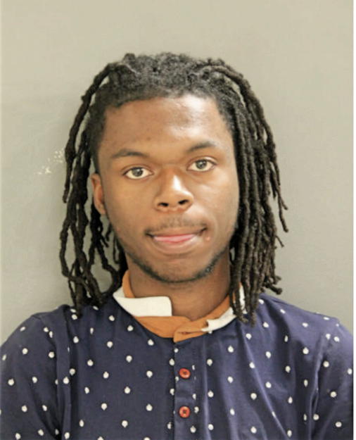 ARIC L TYLER, Cook County, Illinois