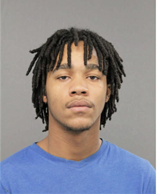 LOUIS D VALE, Cook County, Illinois