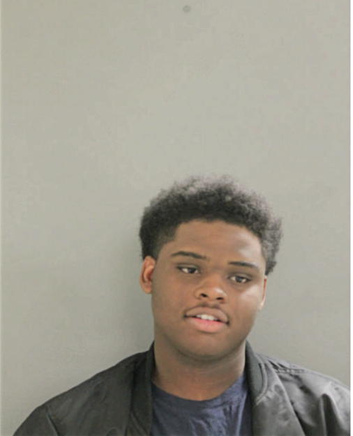 ANDRE L VAUGHN, Cook County, Illinois