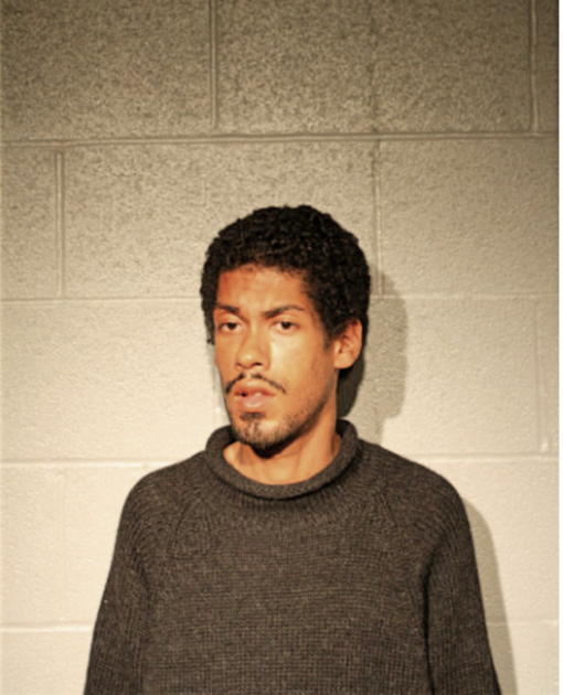 JOHN C ALLEN, Cook County, Illinois