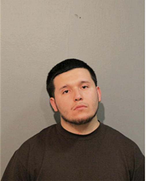 RAUL AYON, Cook County, Illinois