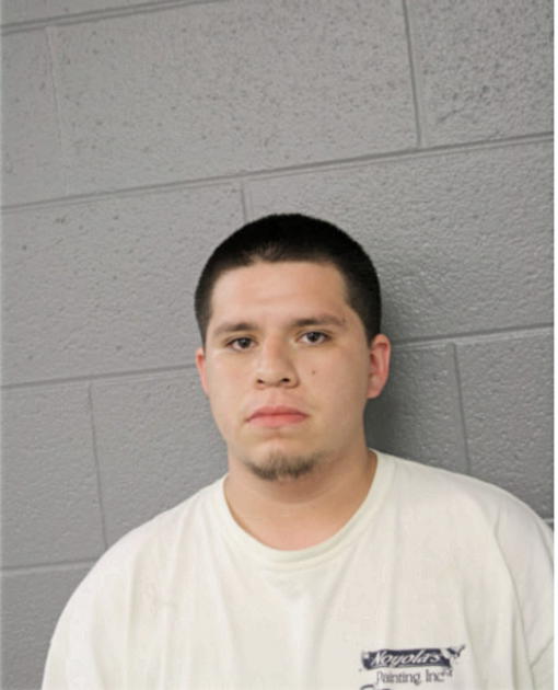 CHRISTIAN M CABALLERO-HERNANDEZ, Cook County, Illinois
