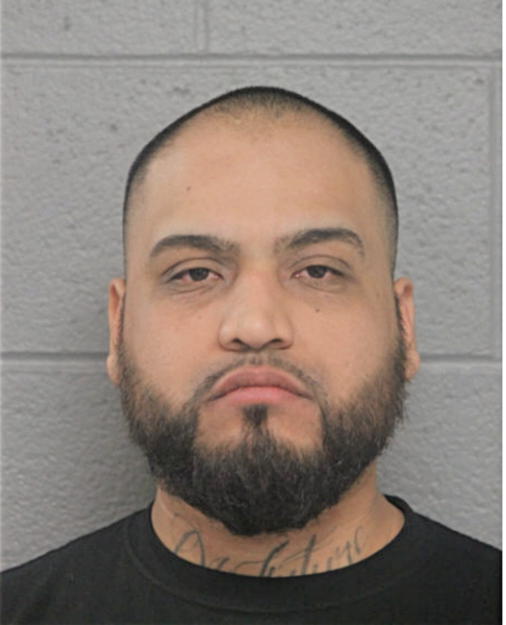 DANIEL CAMARENA, Cook County, Illinois
