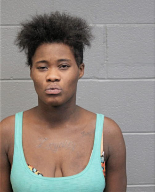 BRITTANY N DAVIS, Cook County, Illinois