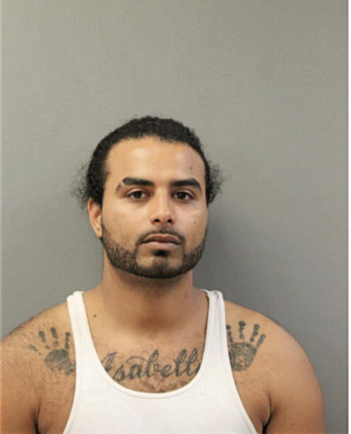 ANDRES E DEJESUS, Cook County, Illinois