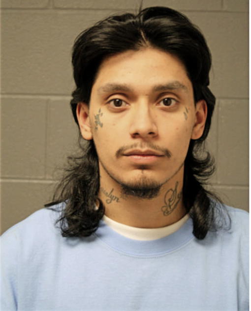 ISRAEL DIAZ, Cook County, Illinois