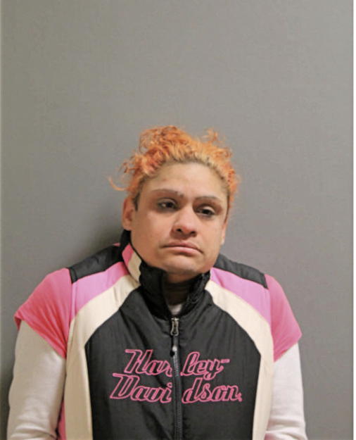 LEILANI DIAZ-ORTIZ, Cook County, Illinois