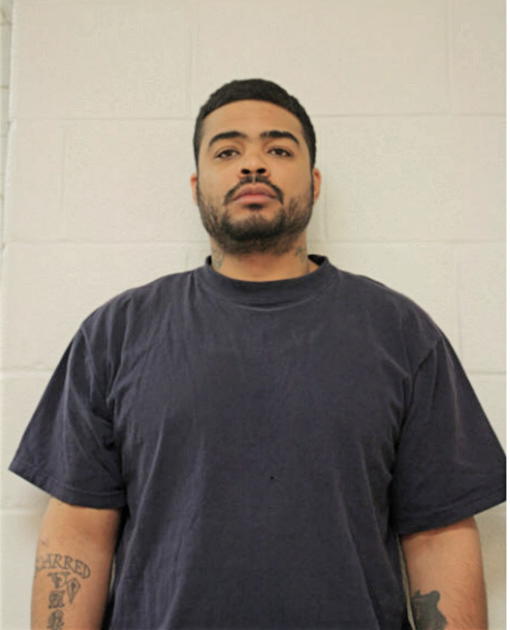 LAEL FARIAS, Cook County, Illinois