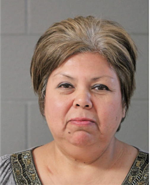 DIANA M GARZA, Cook County, Illinois