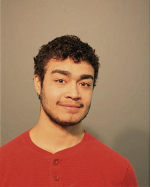 DAVID A HENRIQUEZ, Cook County, Illinois