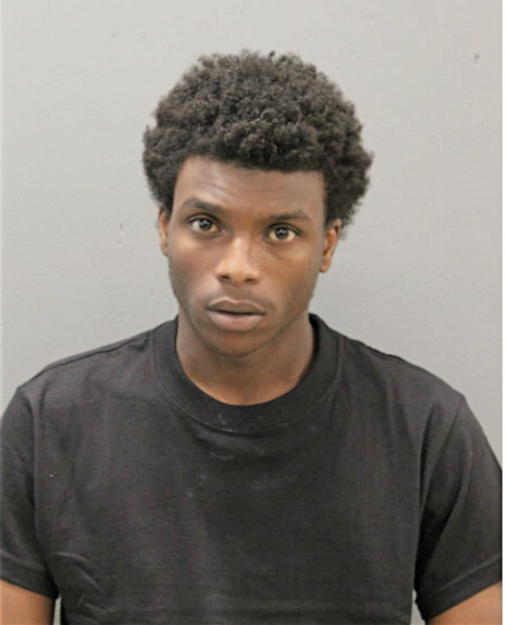 TIMOTHY S HOLMAN, Cook County, Illinois
