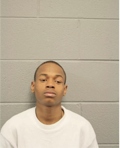 AARON D JOHNSON, Cook County, Illinois